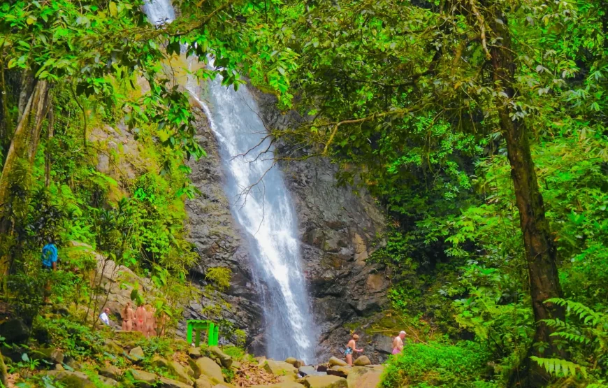 Biausevu Waterfall & Hiking Tour in Sigatoka Fiji