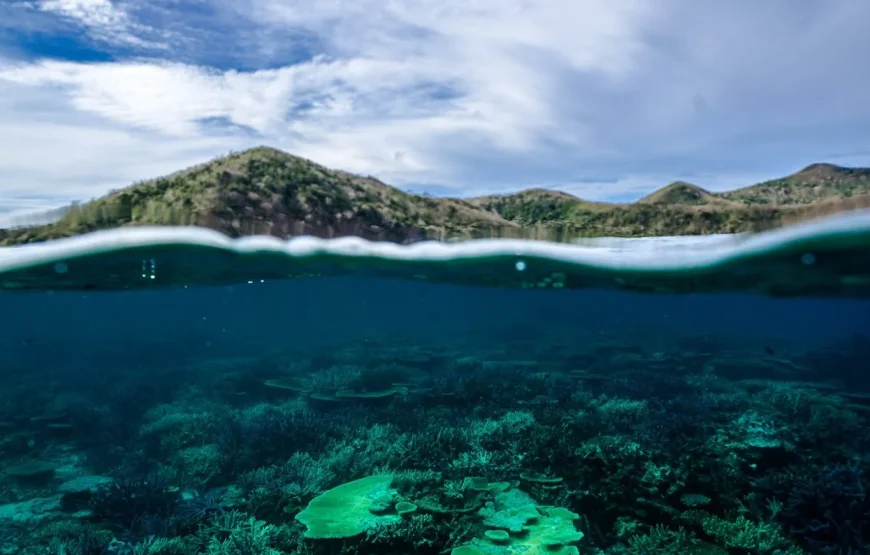 Fiji Sailing Trip | Sabre Fiji Sailing Day Trip