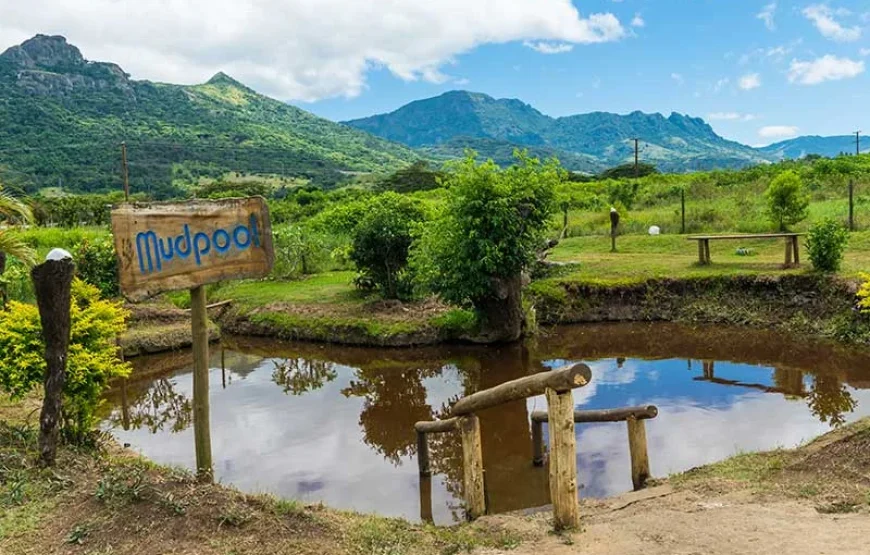 Mud Pool & Garden of the Sleeping Giant Tour Fiji