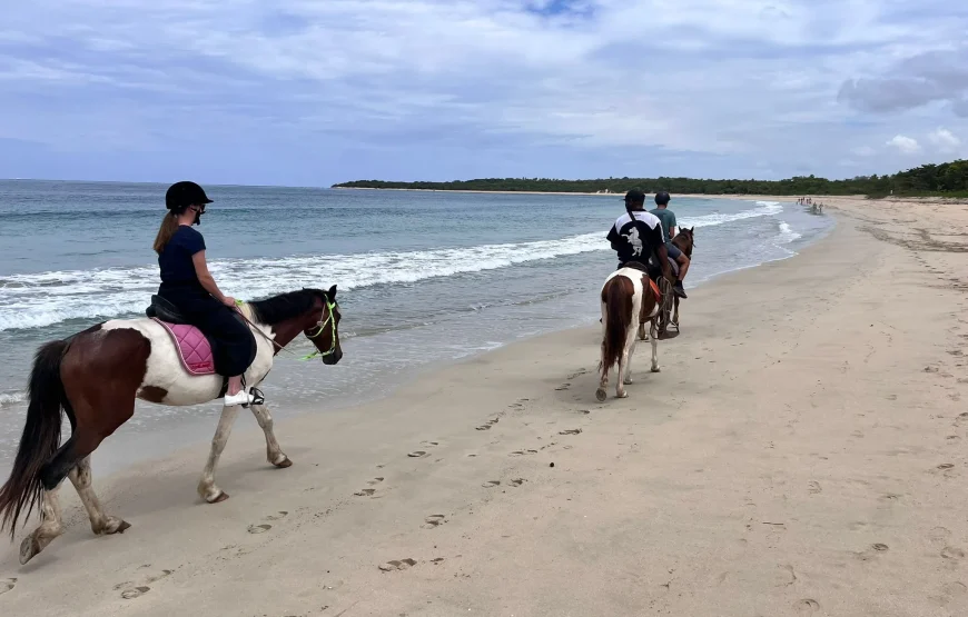 Natadola Beach Horse Riding Fiji – AU$95