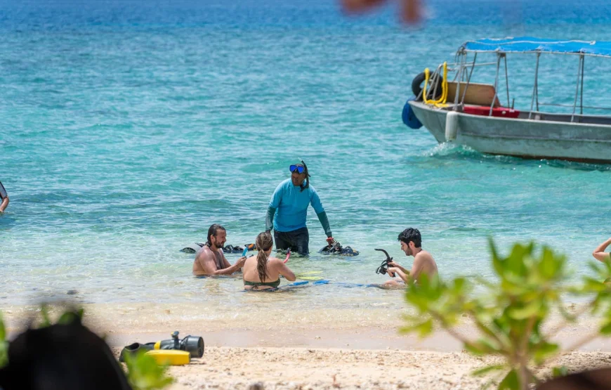 Whale’s Tale Cruises Fiji (Denarau Island)