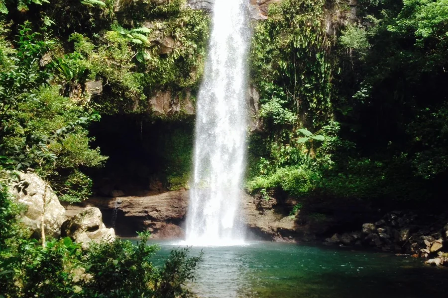 Tavoro Waterfall Adventure Fiji