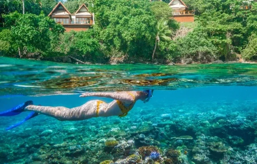 Top Fiji Cultural Tours (Updated 2026)