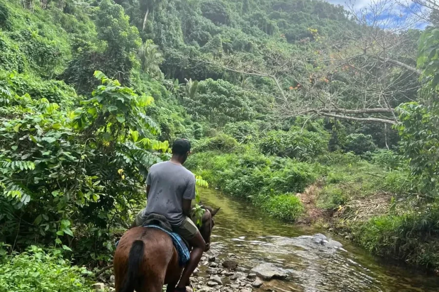 Coral Coast Fiji Mountain View Horse Riding 2025