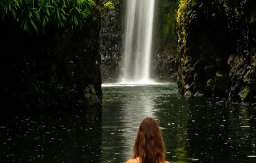 Iconic Waterfall Tour Fiji