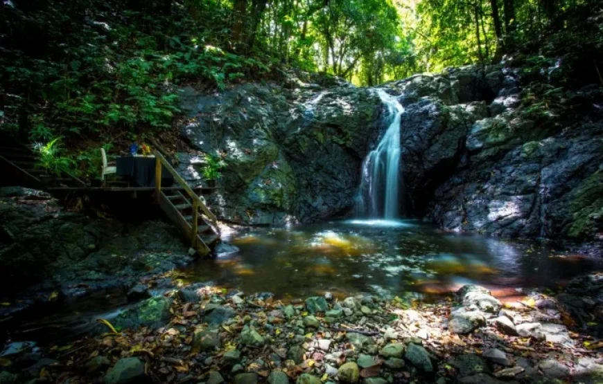 Iconic Waterfall Tour Fiji