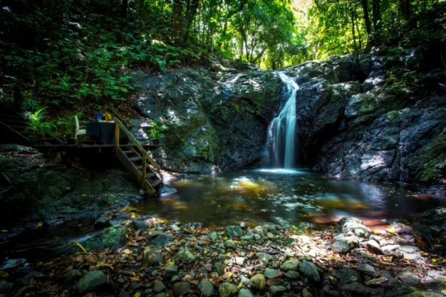 Iconic Waterfall Tour Fiji