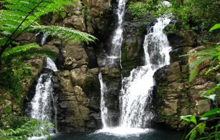 Iconic Waterfall Tour Fiji