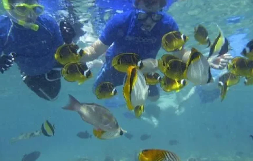 Fiji: Mamanuca Islands All-Inclusive Sailing Cruise