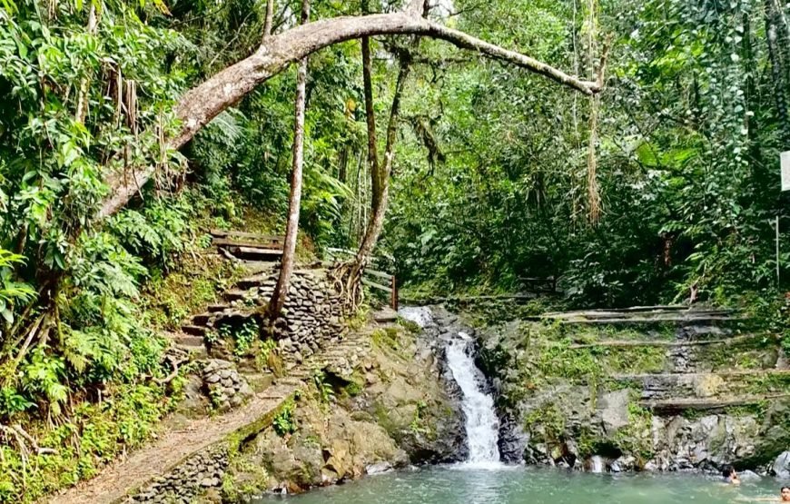 Fijian Nature and Waterfall Tour