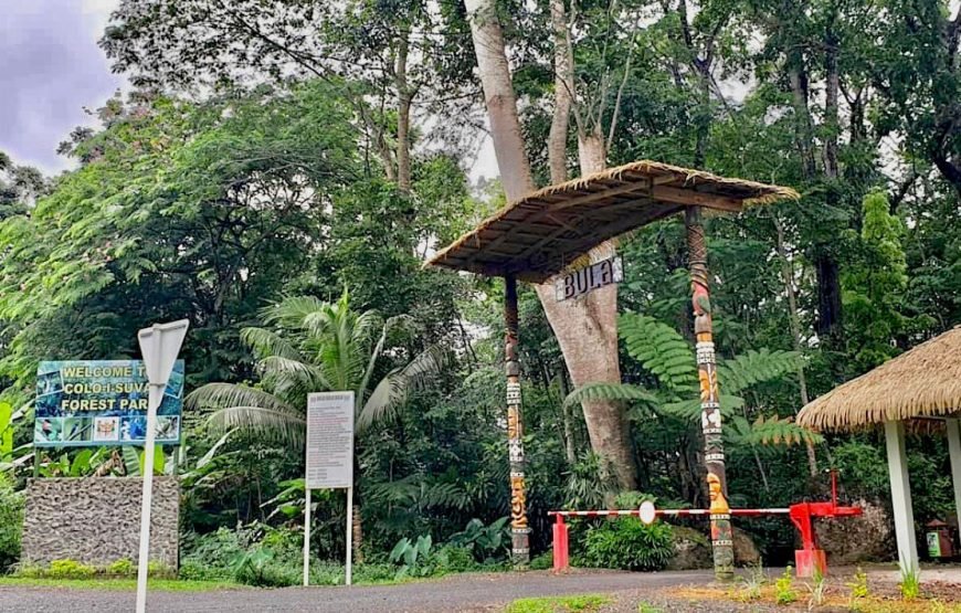 Fijian Nature and Waterfall Tour