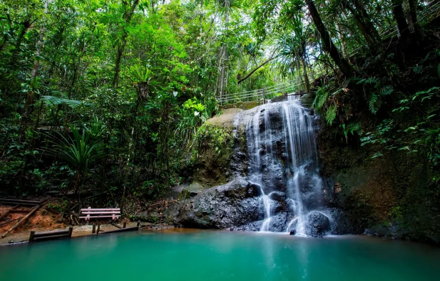 Colo-i-Suva Forest Waterfall Tour