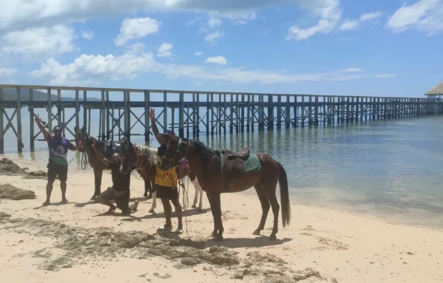 Coral Coast Horse Riding & Fijian Culinary Adventure