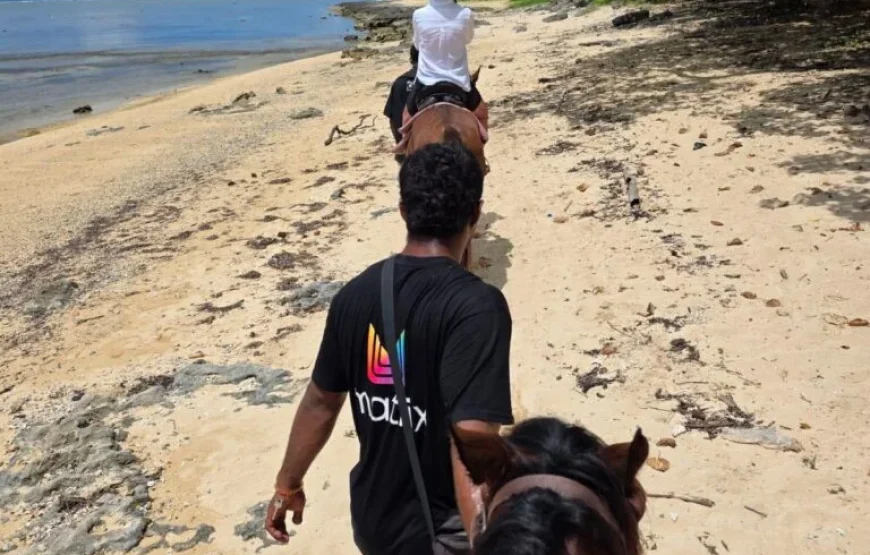 Coral Coast Horse Riding & Fijian Culinary Adventure