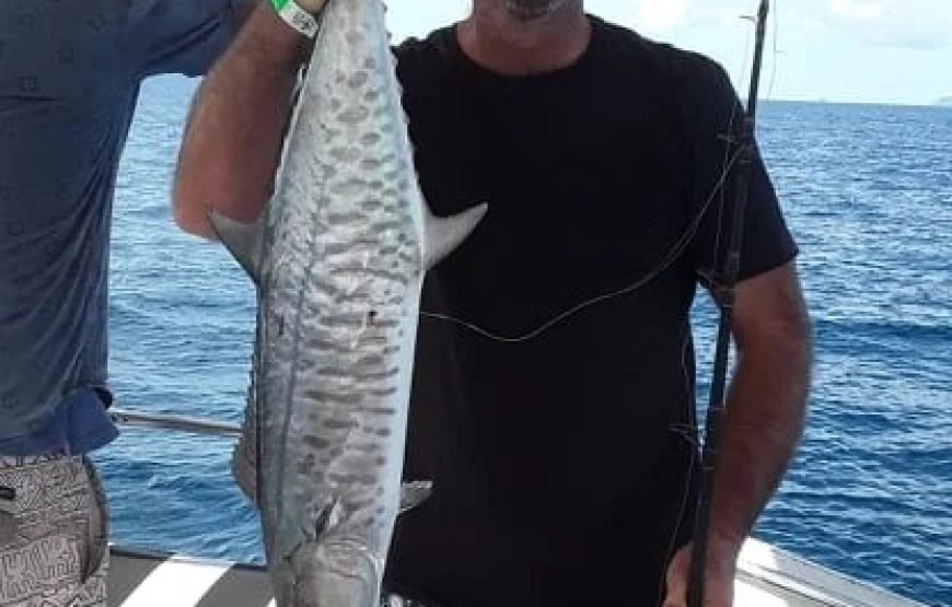 PJ Sailing & Snorkeling Adventures Tours