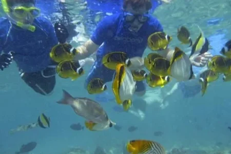 Sail the Mamanuca Islands – A Day in Paradise with Tour Fiji