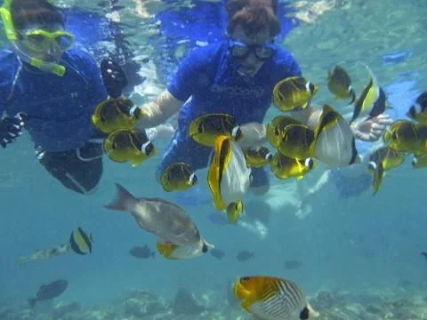 Sail the Mamanuca Islands – A Day in Paradise with Tour Fiji