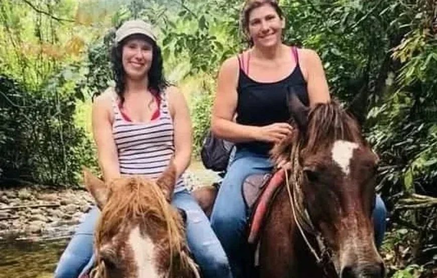 Coral Coast Fiji Waterfall and Rainforest Horse Riding 2026