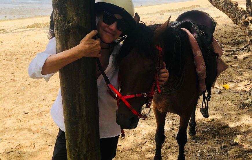 Suva City Day Tour in Fiji