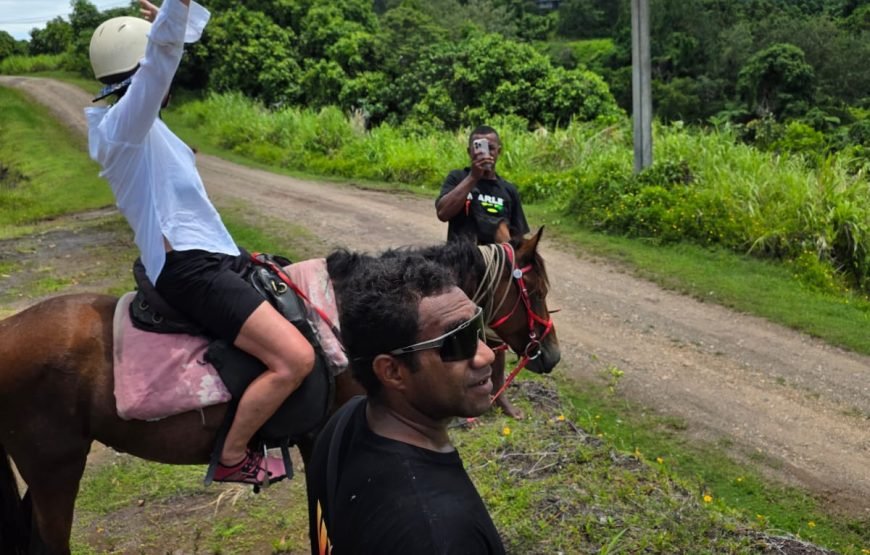 Suva City Day Tour in Fiji