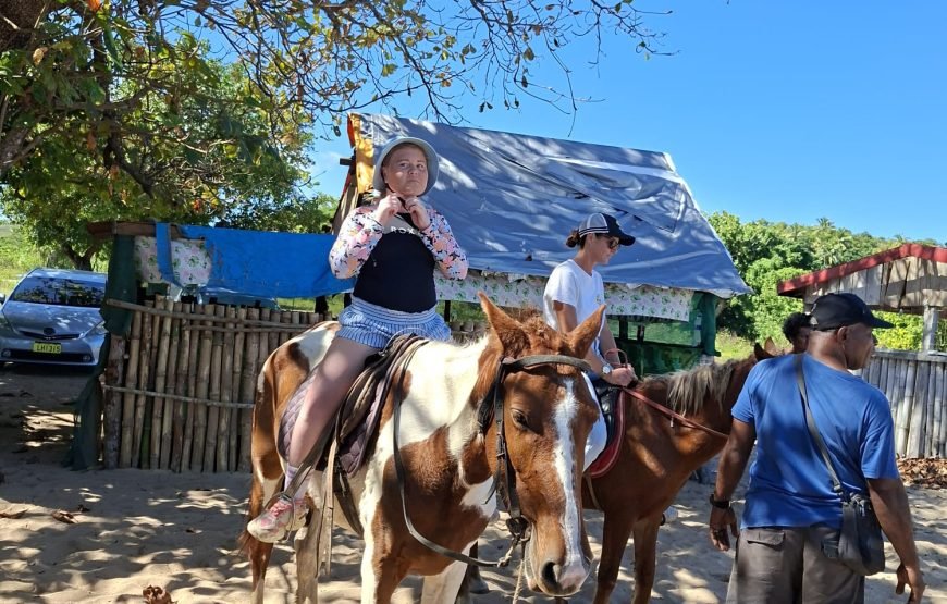 Natadola Beach Combinational Horse Riding Fiji