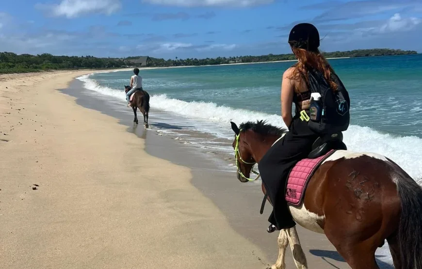 Natadola Beach Horse Riding Fiji – Drone Photography Included